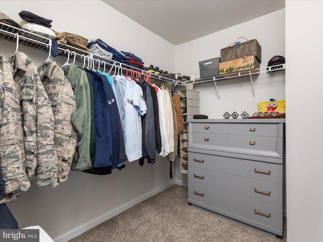 walk in closet with light carpet