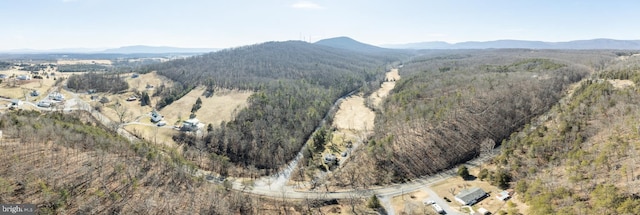 property view of mountains with a wooded view