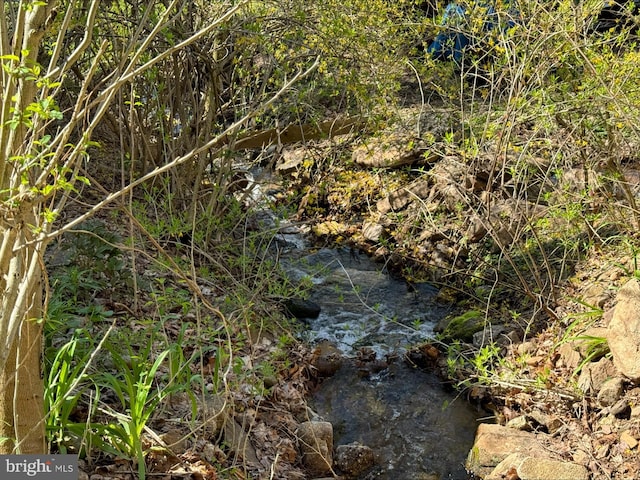 view of landscape