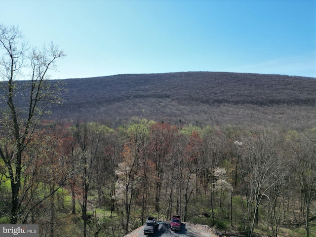 view of mountain feature