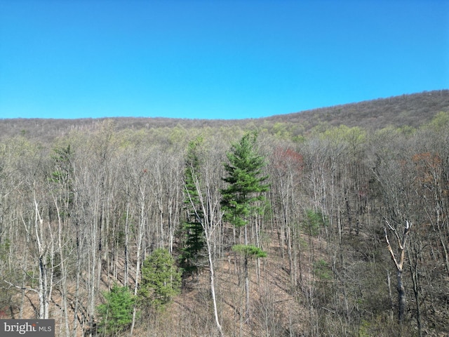 view of nature with a view of trees