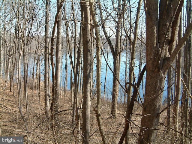 view of local wilderness with a water view