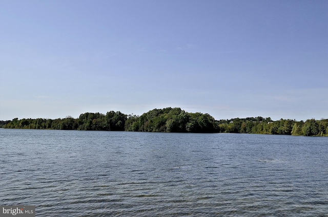 property view of water featuring a wooded view