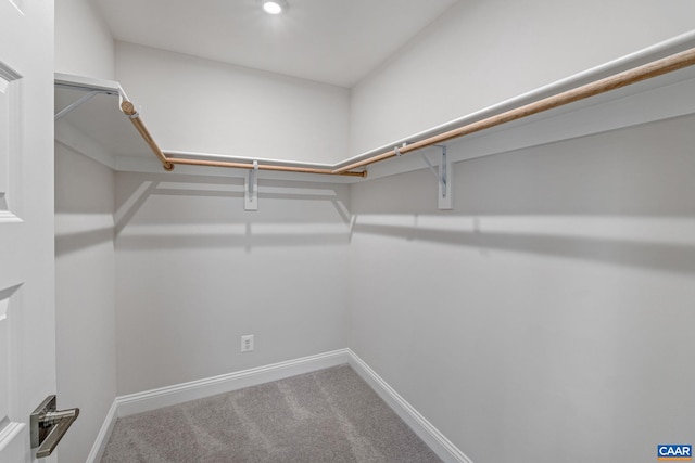 walk in closet featuring carpet floors