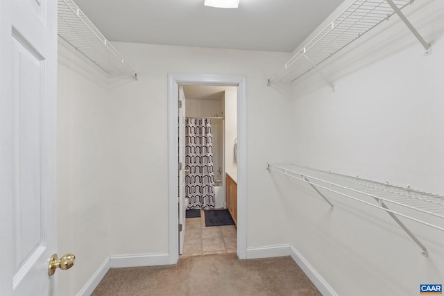 walk in closet with carpet floors