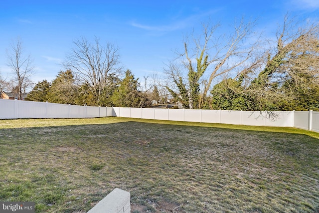 view of yard featuring a fenced backyard