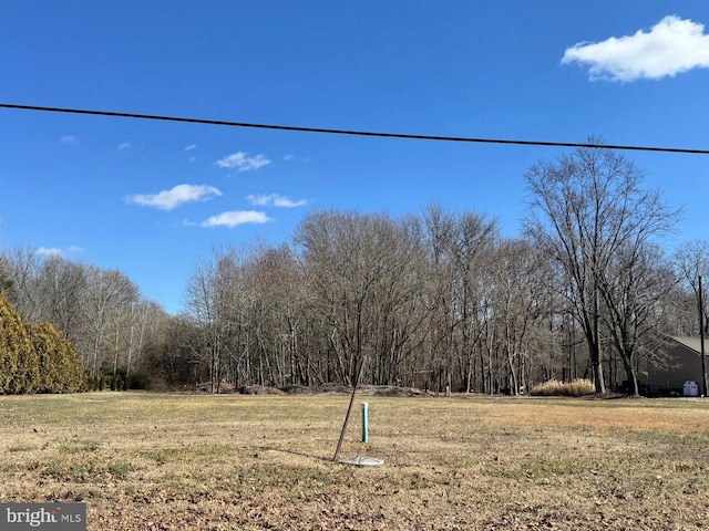 10669 Chesterville Forest Rd, Millington MD, 21651 land for sale