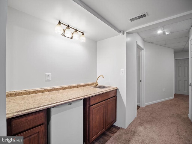 3110 Blackberry Ln, Prince Frederick, MD 20678 - bathroom featuring a paneled ceiling, baseboards, carpet floors, visible vents, and a sink
