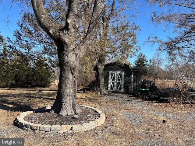 view of yard featuring an outdoor structure and a shed