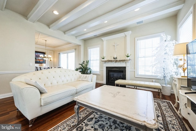 living area featuring a glass covered fireplace, beam ceiling, and dark wood finished floors