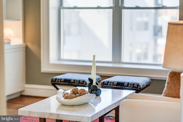 room details with wood finished floors