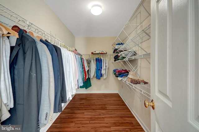 walk in closet with wood finished floors