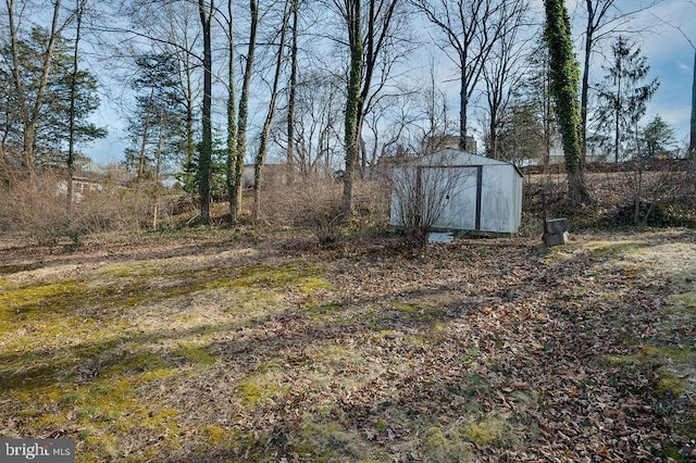 view of yard featuring an outbuilding and a storage unit