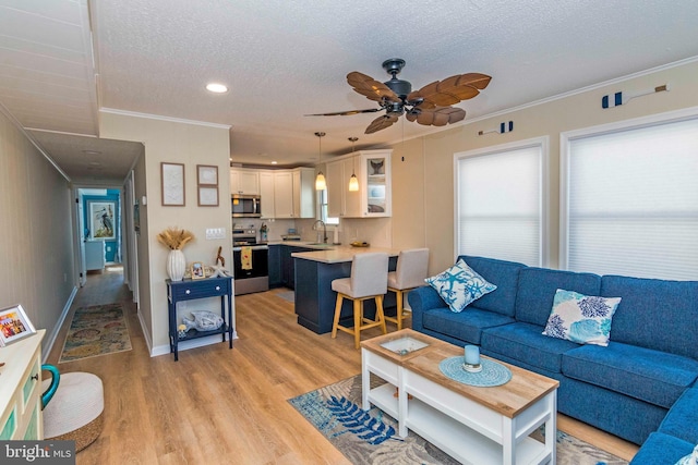 living area featuring crown molding, light wood-style flooring, a ceiling fan, a textured ceiling, and baseboards