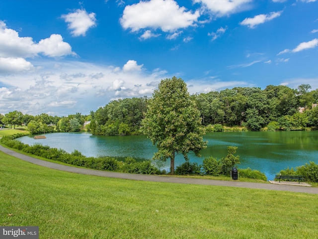 property view of water