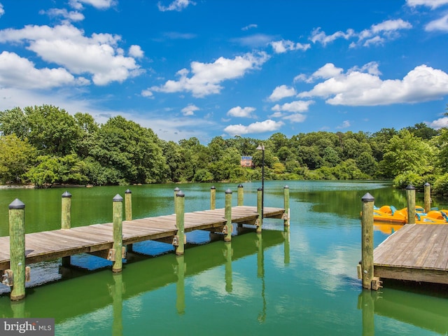 dock area with a water view