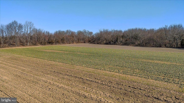 view of yard with a view of trees and a rural view