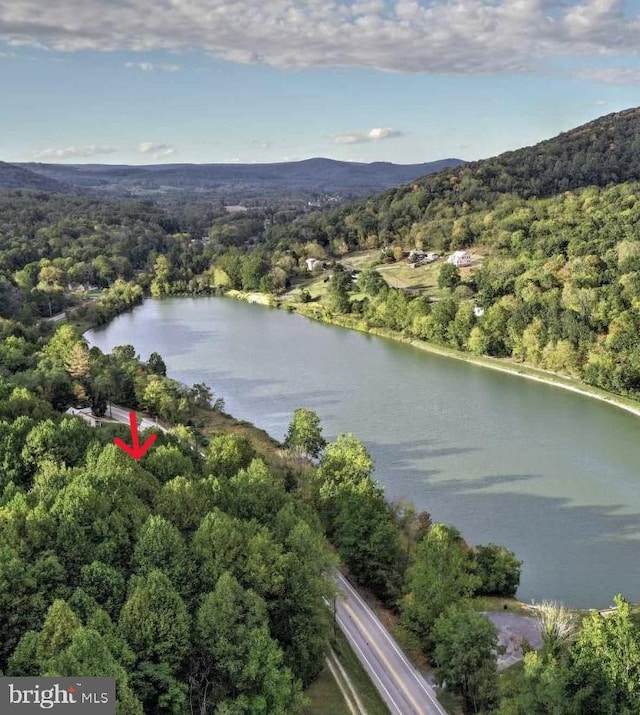 drone / aerial view with a water view and a forest view