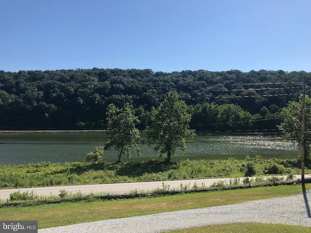 surrounding community with a water view and a forest view