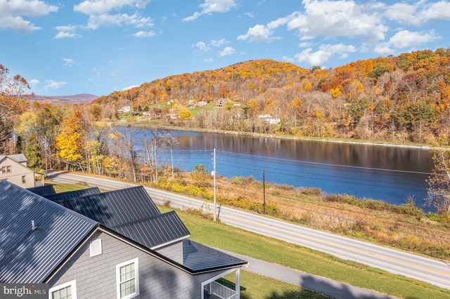 water view with a mountain view and a view of trees