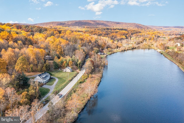 birds eye view of property with a water view and a view of trees