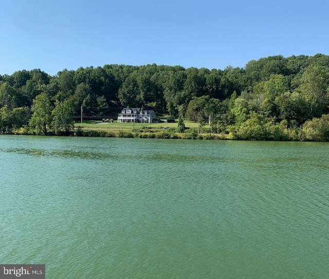 property view of water with a wooded view