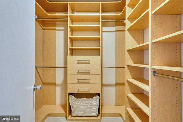 view of spacious closet