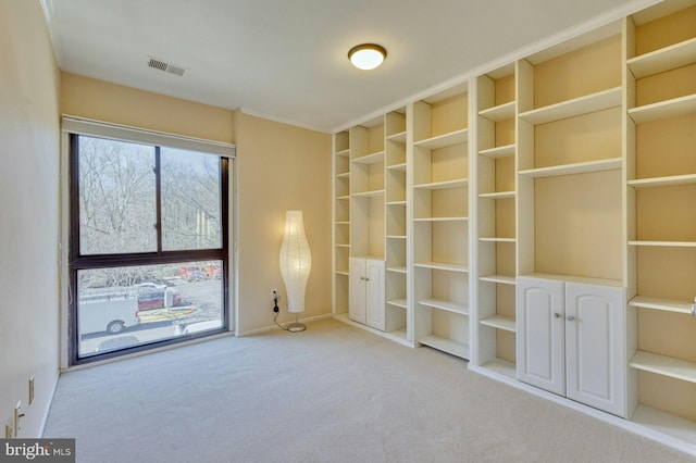 spare room featuring carpet and visible vents