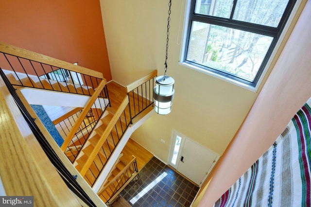 stairs featuring wood finished floors