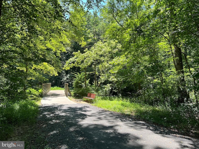 view of street featuring a view of trees