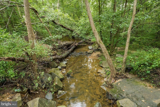 view of landscape featuring a forest view