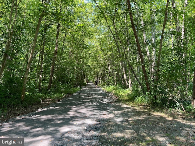 view of street with a wooded view