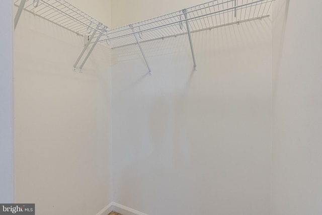 16309 Sandy Ridge Ct, Woodbridge, VA 22191 - view of walk in closet