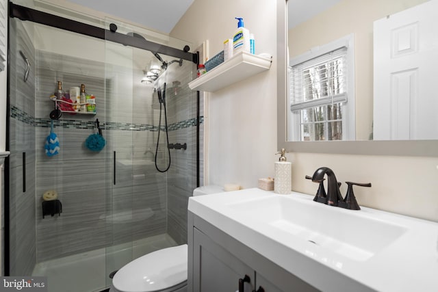 bathroom featuring vanity, toilet, and a shower stall