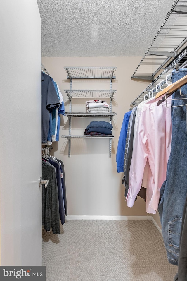 walk in closet featuring carpet floors