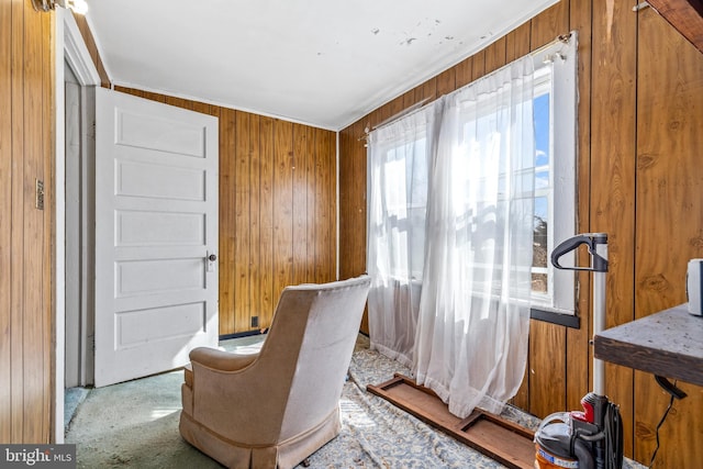 living area featuring carpet floors and wood walls