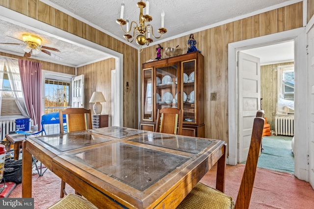 carpeted dining room featuring a textured ceiling, a healthy amount of sunlight, ornamental molding, and radiator