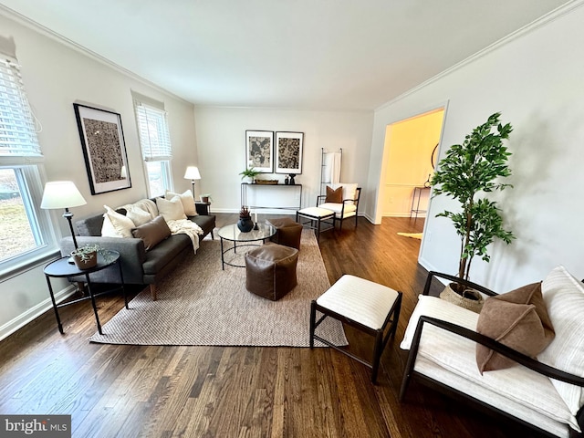 living room featuring baseboards, wood finished floors, and crown molding