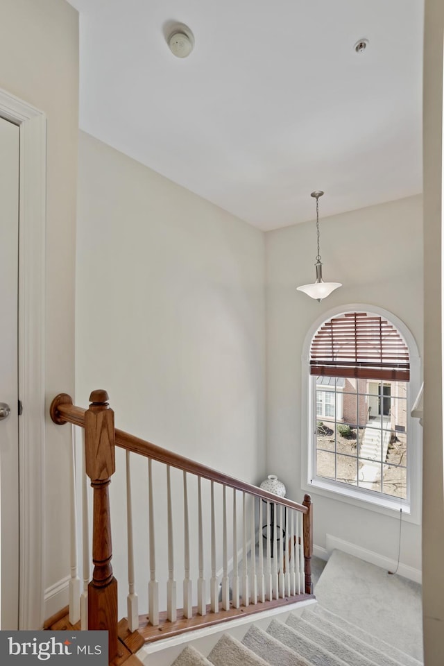 staircase with baseboards