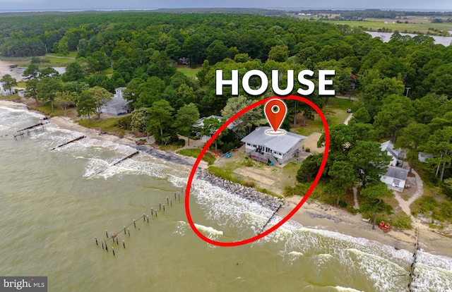 birds eye view of property with a water view and a wooded view