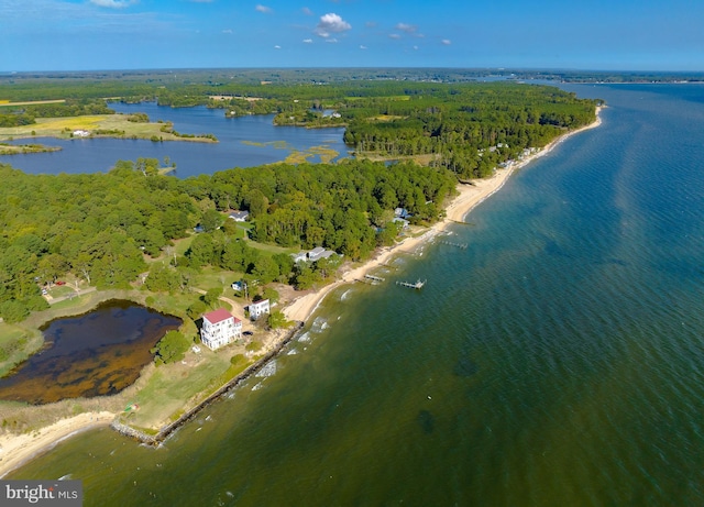 bird's eye view with a water view and a view of trees