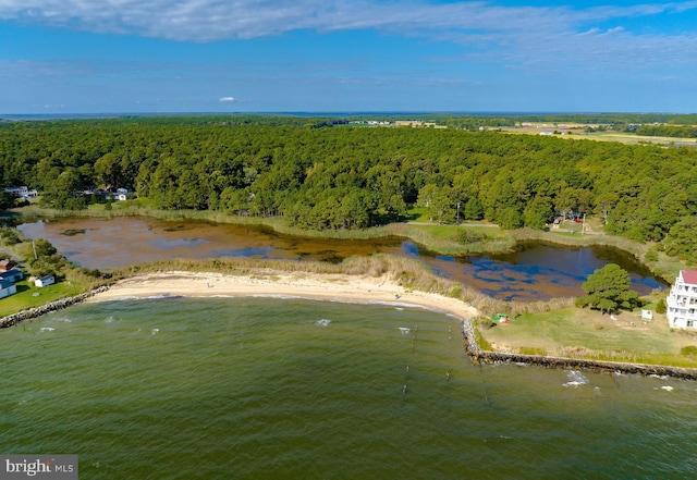 birds eye view of property with a water view and a view of trees