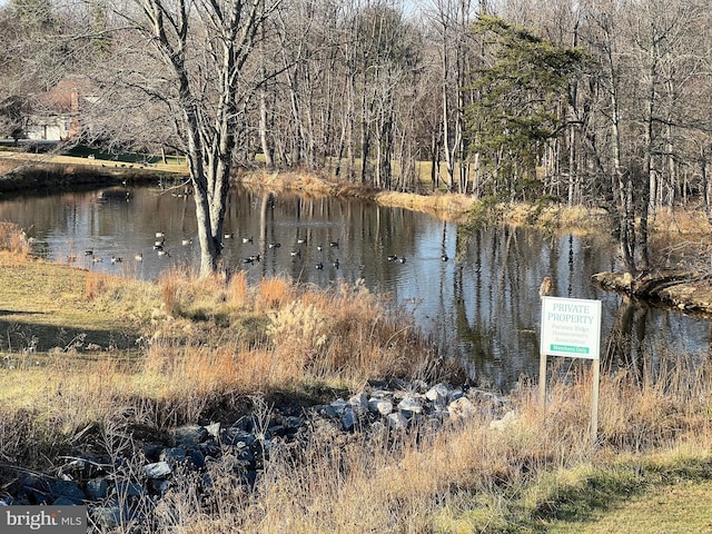 property view of water