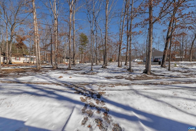 view of yard covered in snow