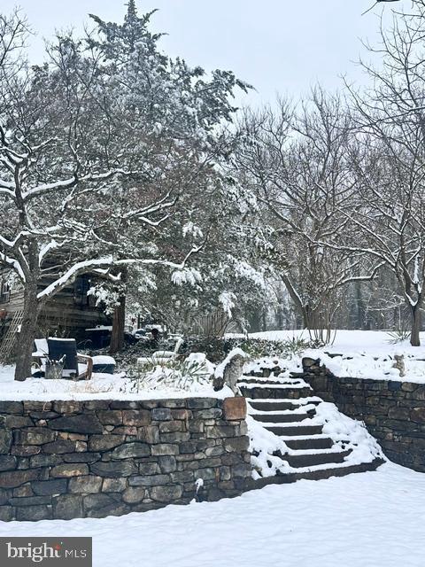 view of yard covered in snow