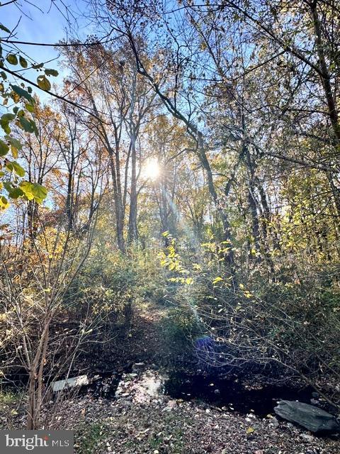 view of local wilderness featuring a wooded view