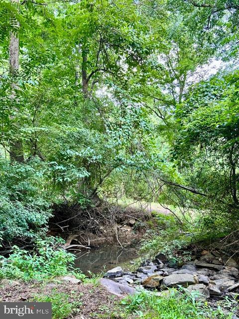 view of local wilderness with a forest view