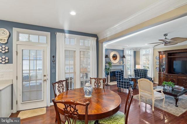 dining room featuring ornamental molding, a fireplace, ceiling fan, and wood finished floors