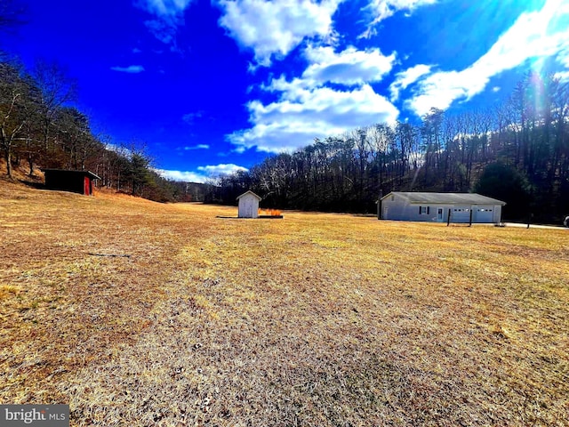 view of yard featuring an outbuilding, a view of trees, and a shed