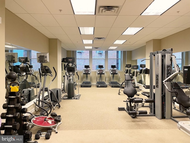 exercise room with carpet, visible vents, and a drop ceiling